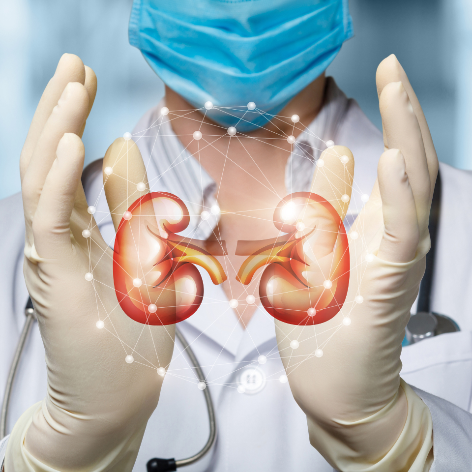 Kidney Specialist in Delhi